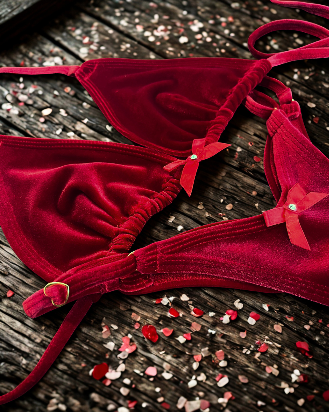 Spicy Red Velvet Bikini Set